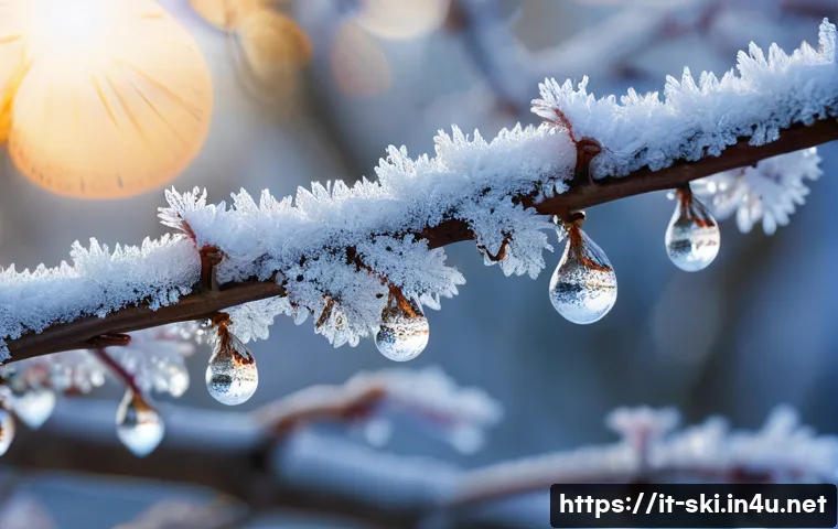 10 trucchi essenziali per fotografare al meglio la tua avventura sulla neve 4 스키 여행 사진 촬영 팁 관련 이미지 2